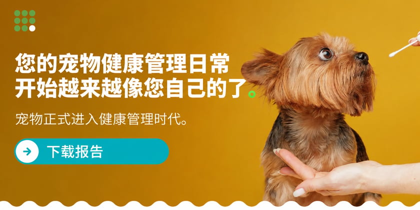 CH-SP-Your-pets-wellness-routine