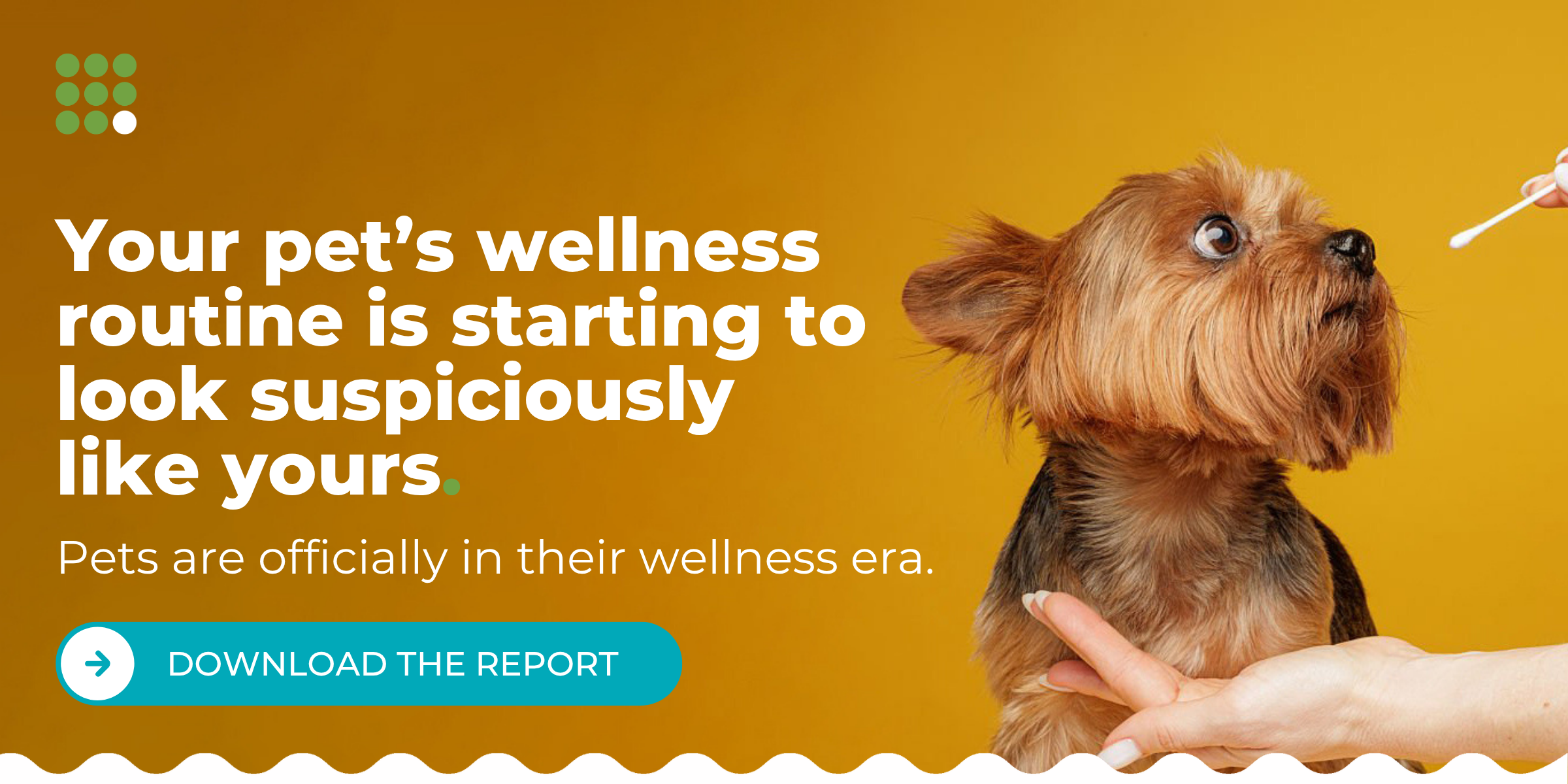 Generic-V2-Your-pets-wellness-routine