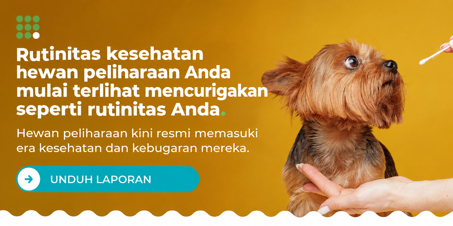 IDN-SP-Your-pets-wellness-routine