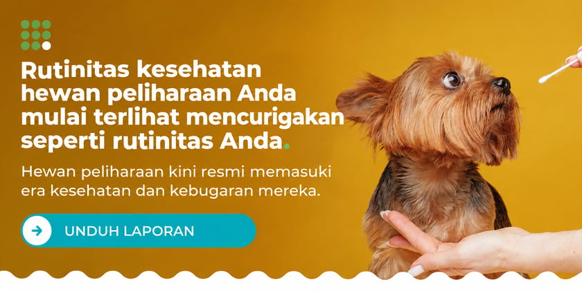 IDN-SP-Your-pets-wellness-routine