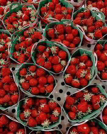 what-is-market-segmentation-and-why-does-it-matter