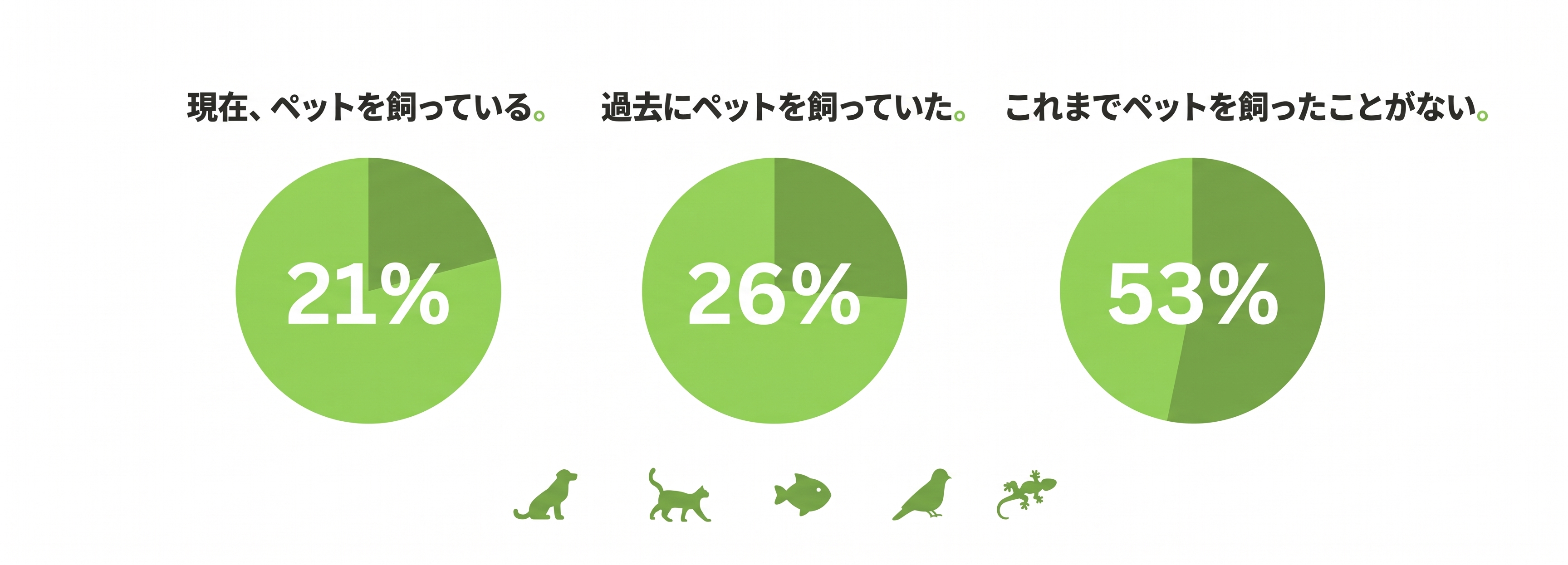 JP-1Pets