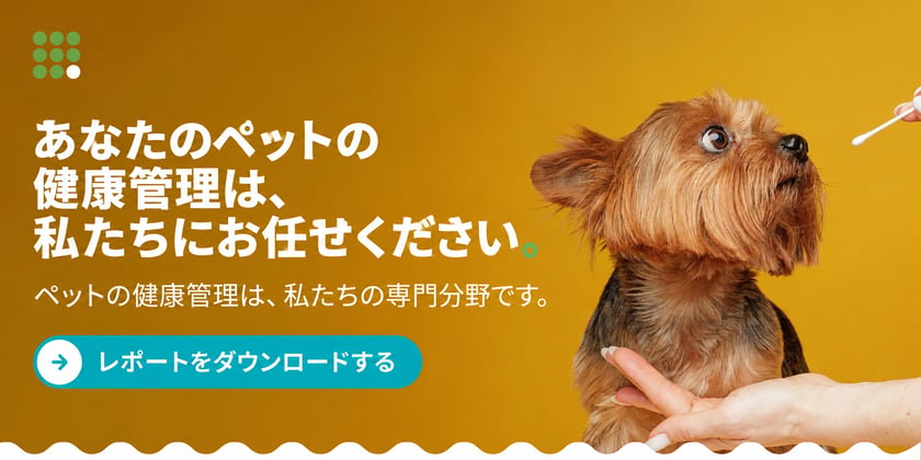 JP-SP-Your-pets-wellness-routine