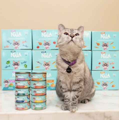 Nala-the-cat-pet-influencer-walmart-brand