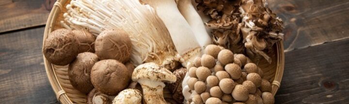 WIM_GettyImages_3_720x216