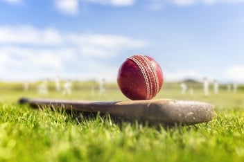 Cricket ball