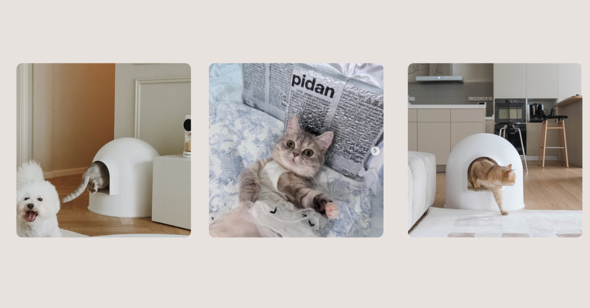 pidan-pet-brand-strategy