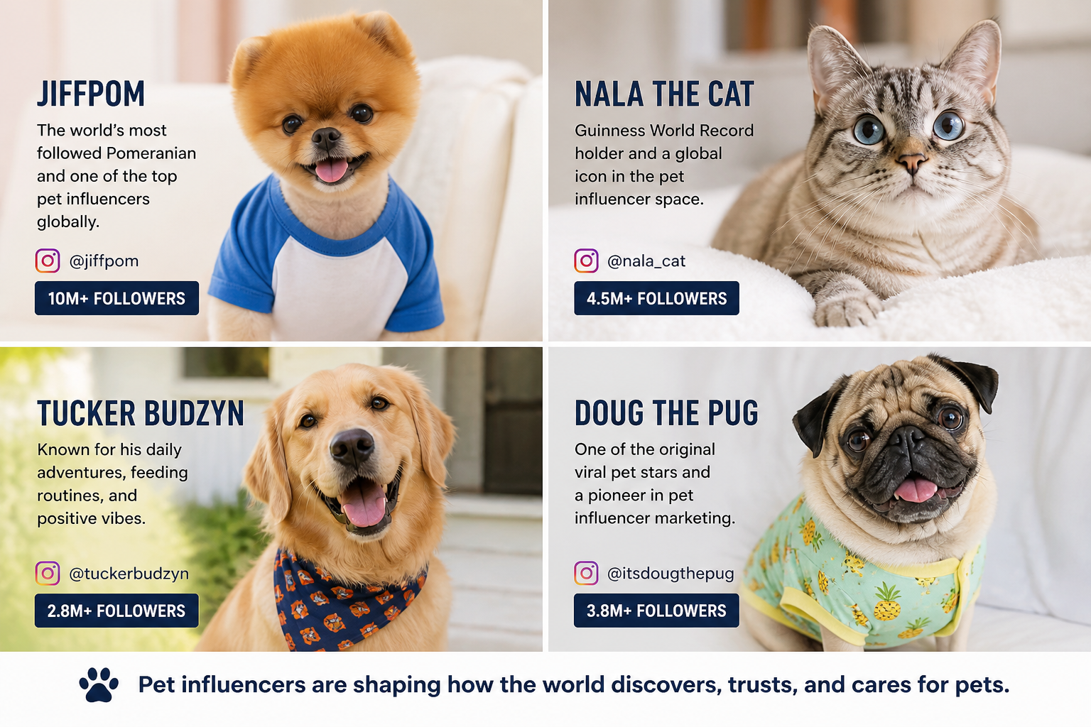 top-Pet-influencers