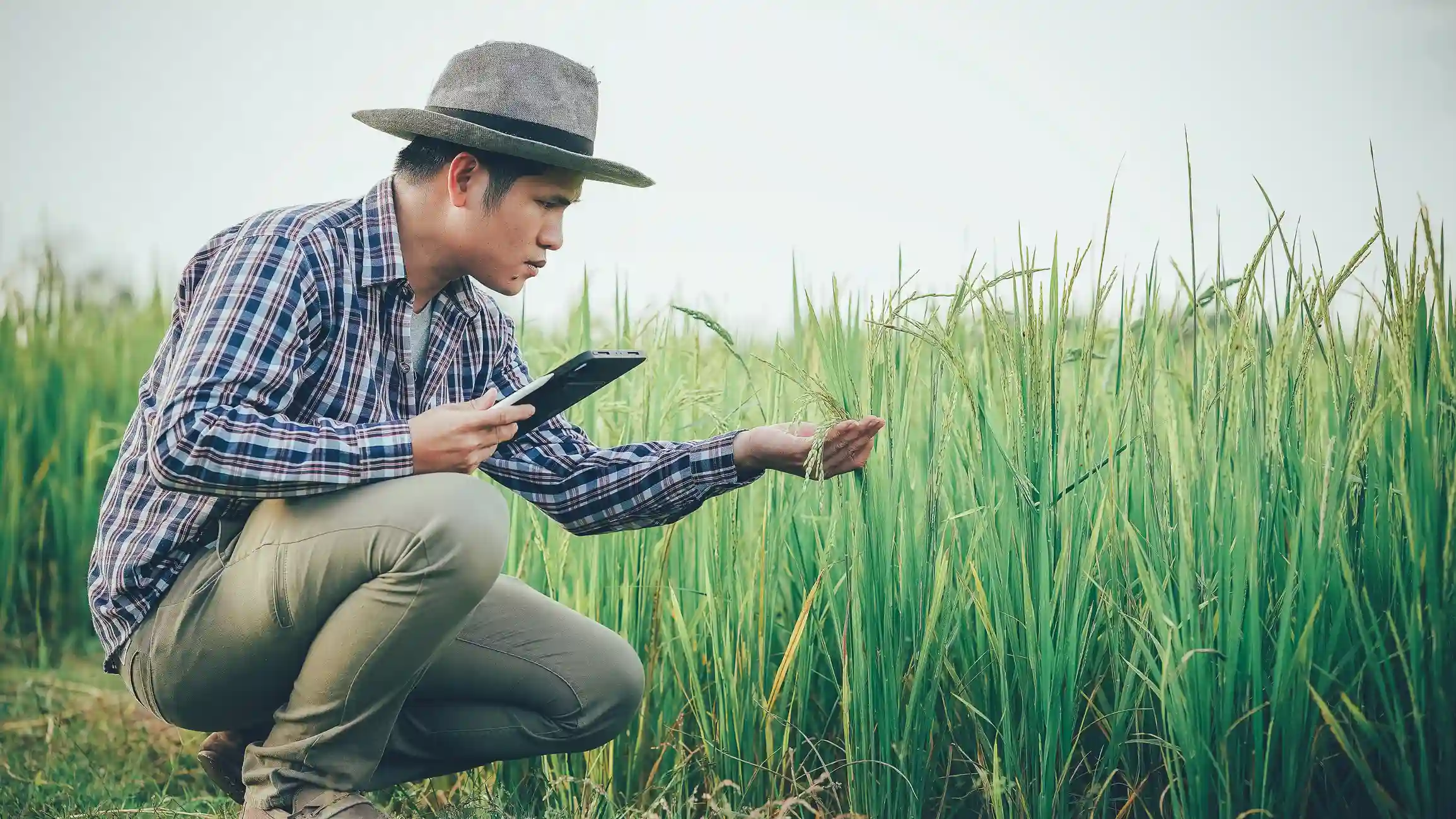 Agriculture now