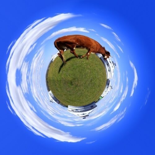 10 Trends to Watch in Agriculture in 2024 and Beyond.