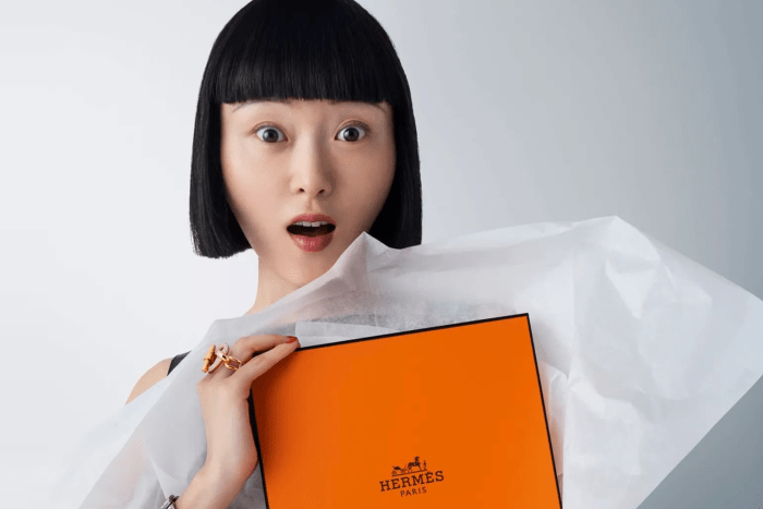 hermes-luxury-market