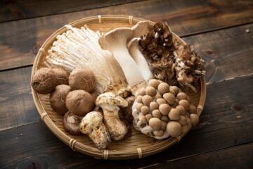 the-mushroom-revolution